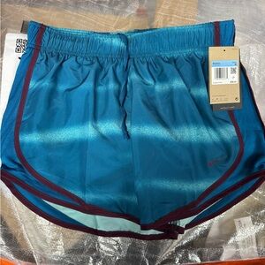 Nike Women's Teal and Maroon Athletic Shorts